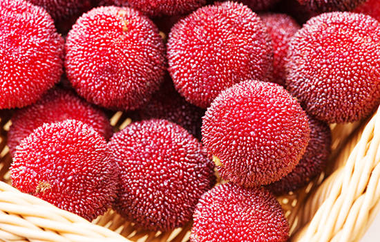 ��÷��Ӫ����ֵ����Ч ��÷��ʲô��������